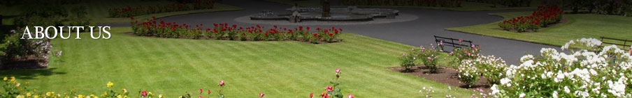 About Miami Landscaping