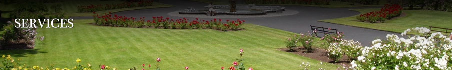 Miami Landscaping Services